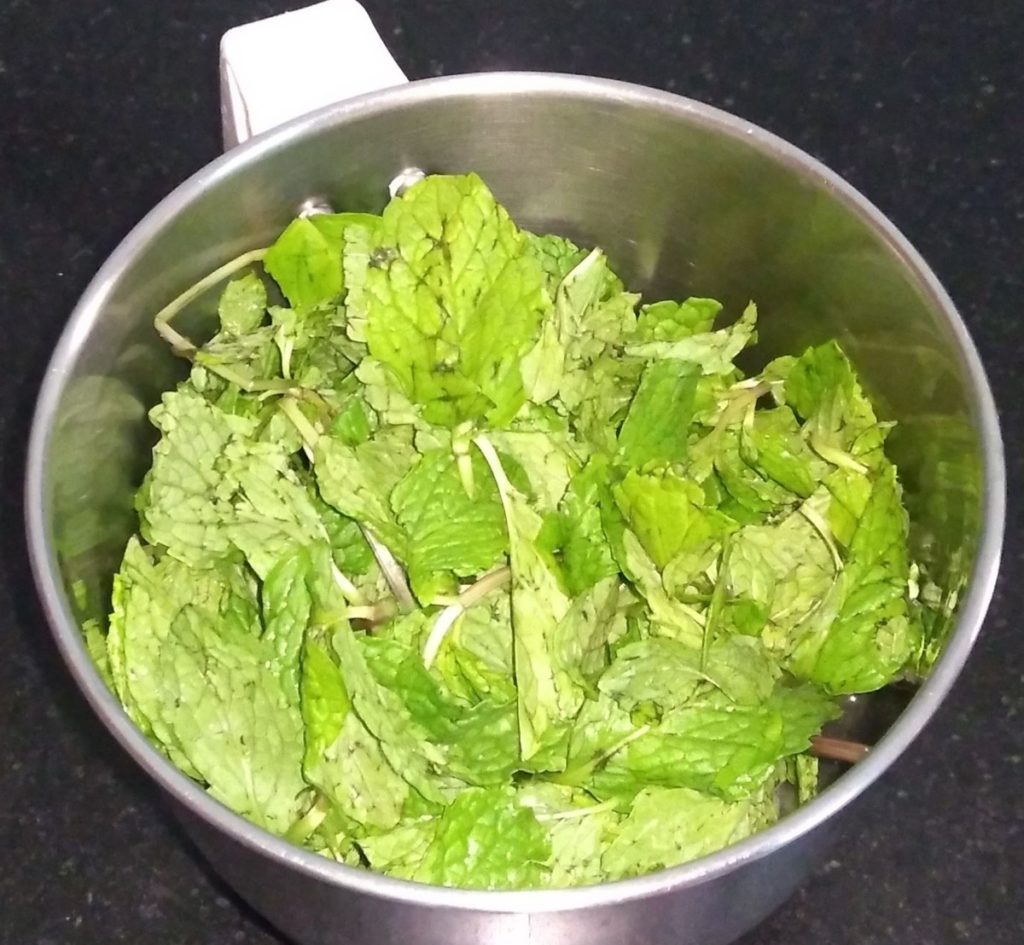 Take mint leaves in a mixer