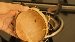 take a coconut shell